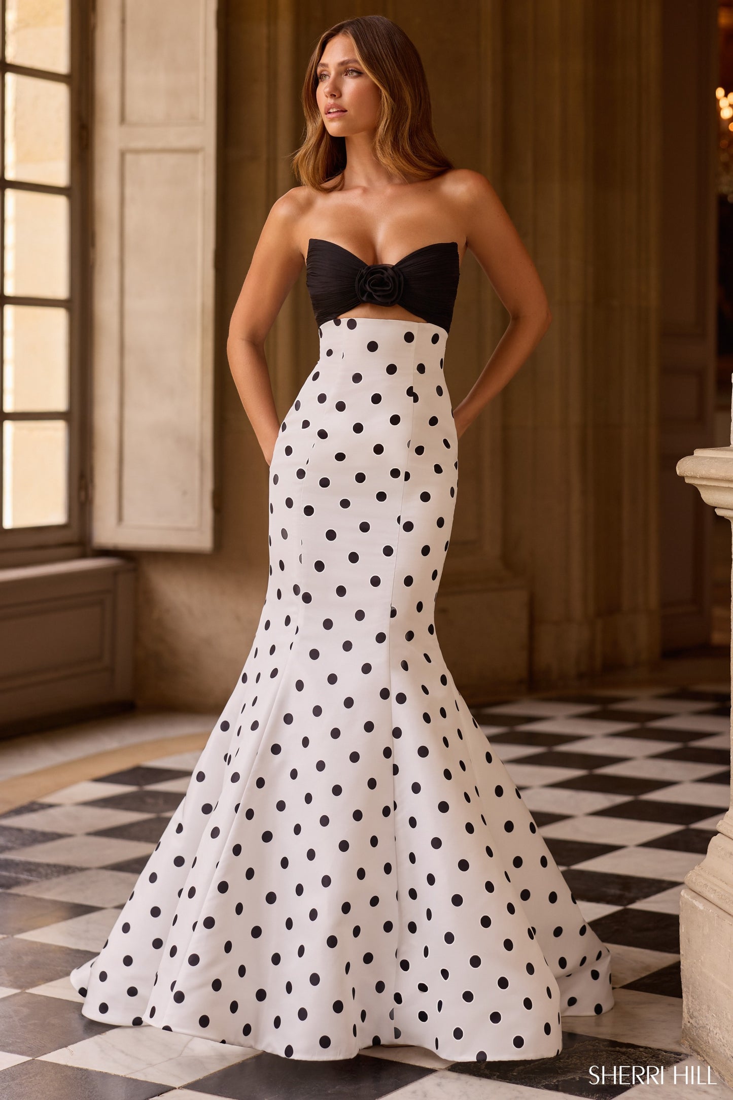 SHERRI HILL 57800